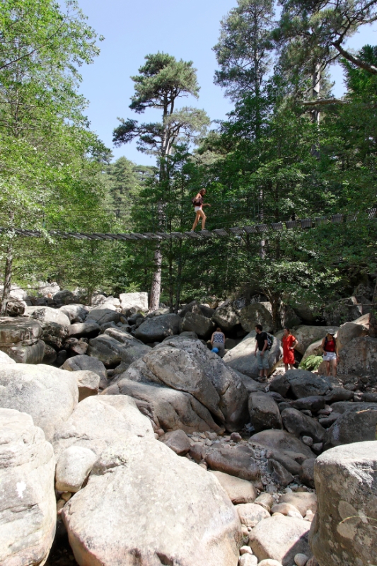 Aiton forest, Corsica France.jpg